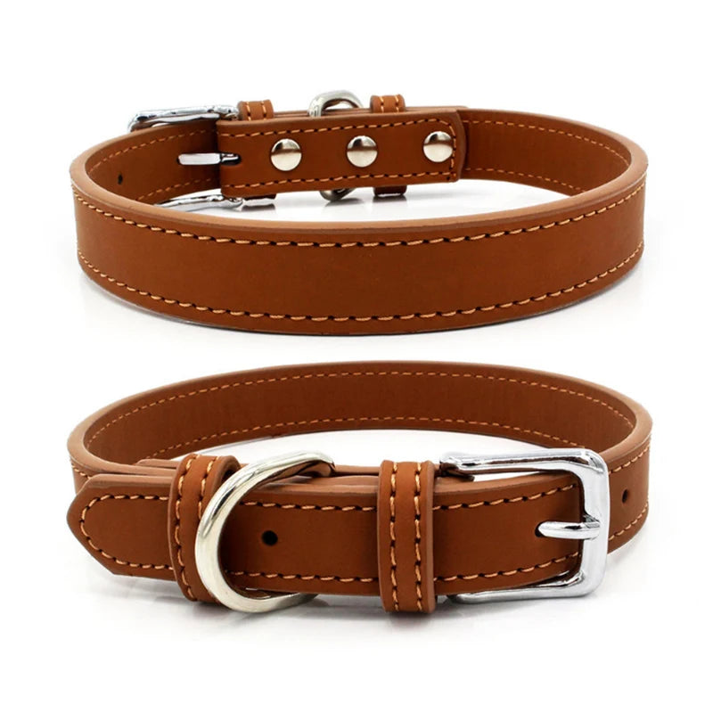 Collier chien cuir - Couleur sublime