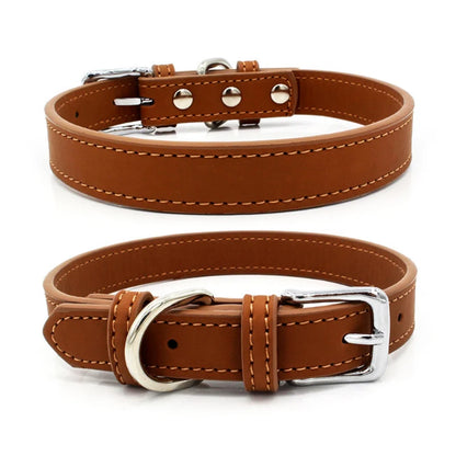 Collier chien cuir - Couleur sublime