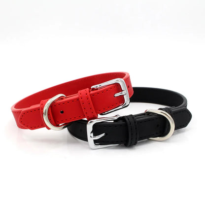 Collier chien cuir - Couleur sublime