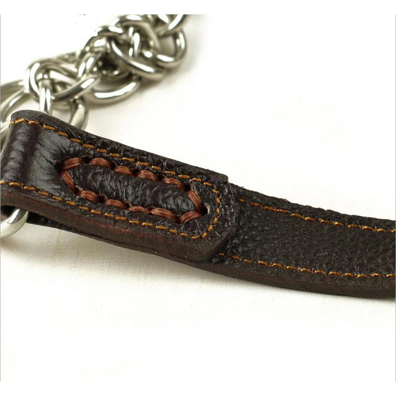 Collier pour chien cuir | Martingale Élégance