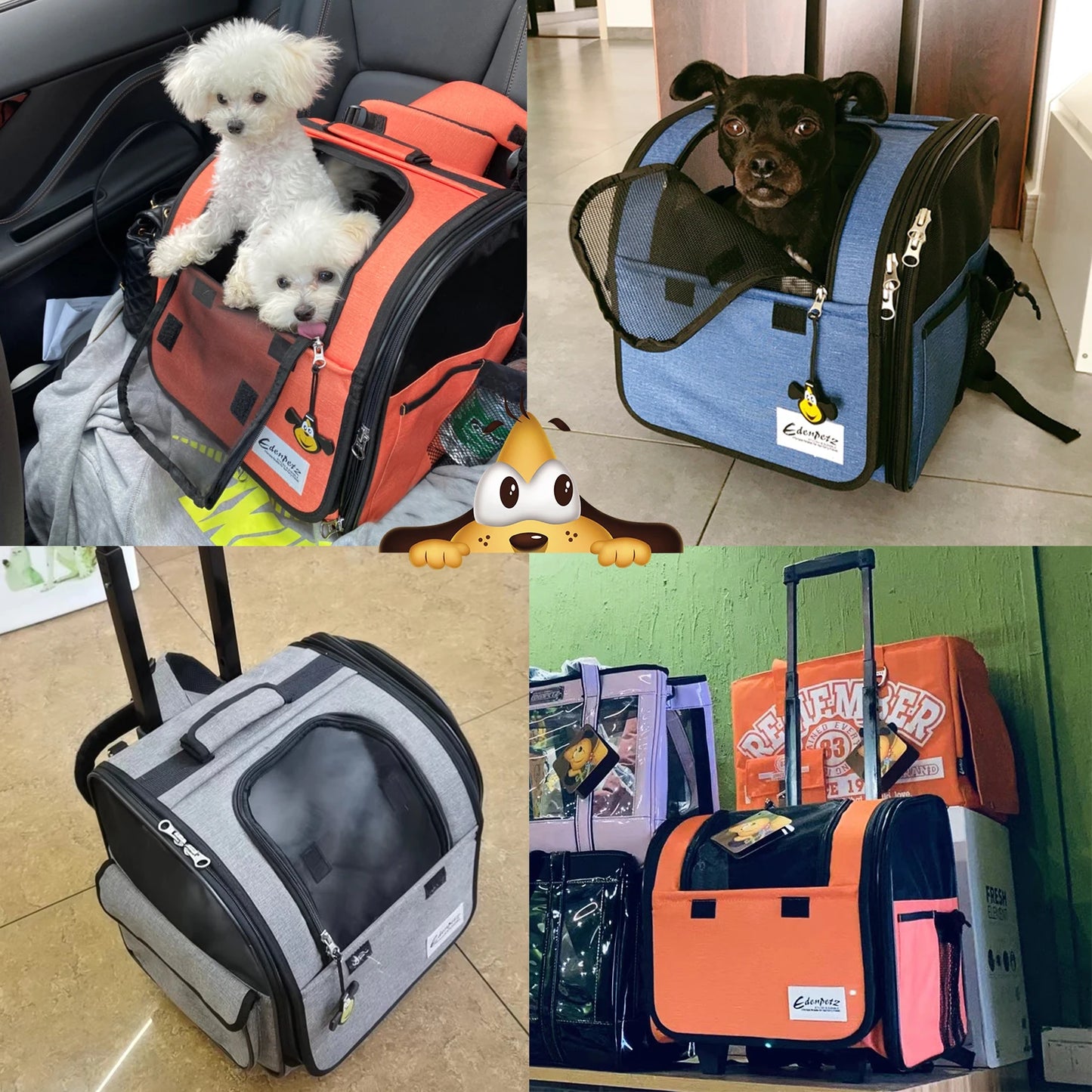 Poussette pour chien- Voyage Pratico-parfait