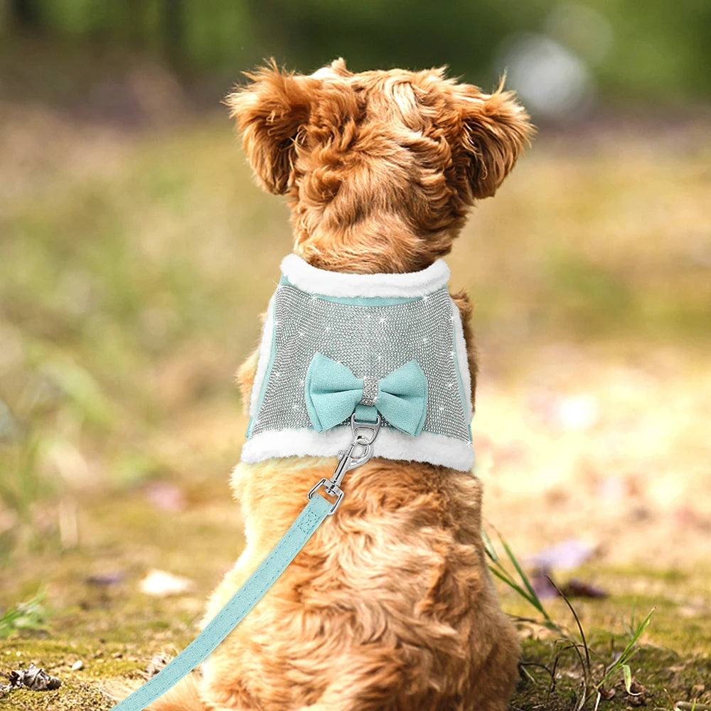 Harnais pour chien PET ARTIST