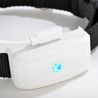 Collier gps pour chien- TKSTAR Mini GPS 2G