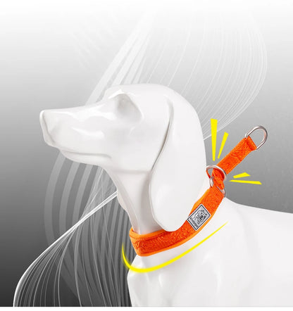 Collier de dressage pour chien- TRUELOVE P-chain