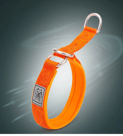 Collier de dressage pour chien- TRUELOVE P-chain