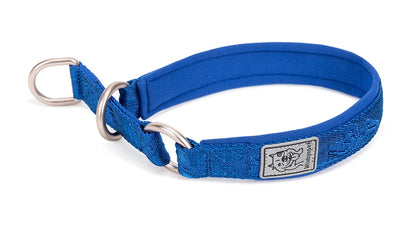 Collier de dressage pour chien- TRUELOVE P-chain
