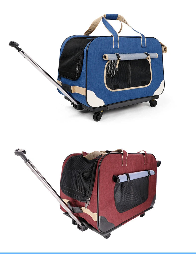 Poussette pour chien- Transporteurs Convertible 4 roues