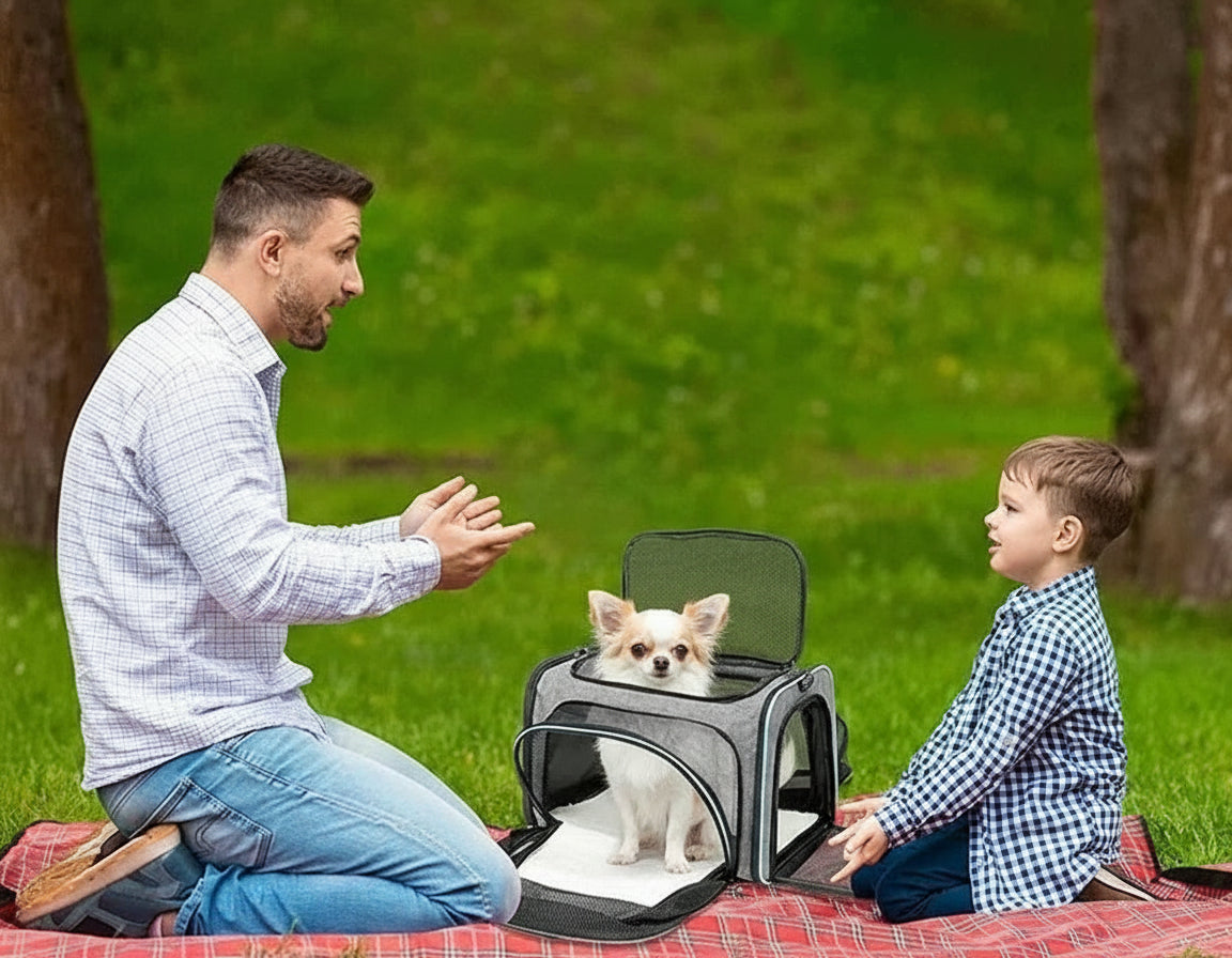 Sac pour transporter chien- Fashionable Expandable Satchel
