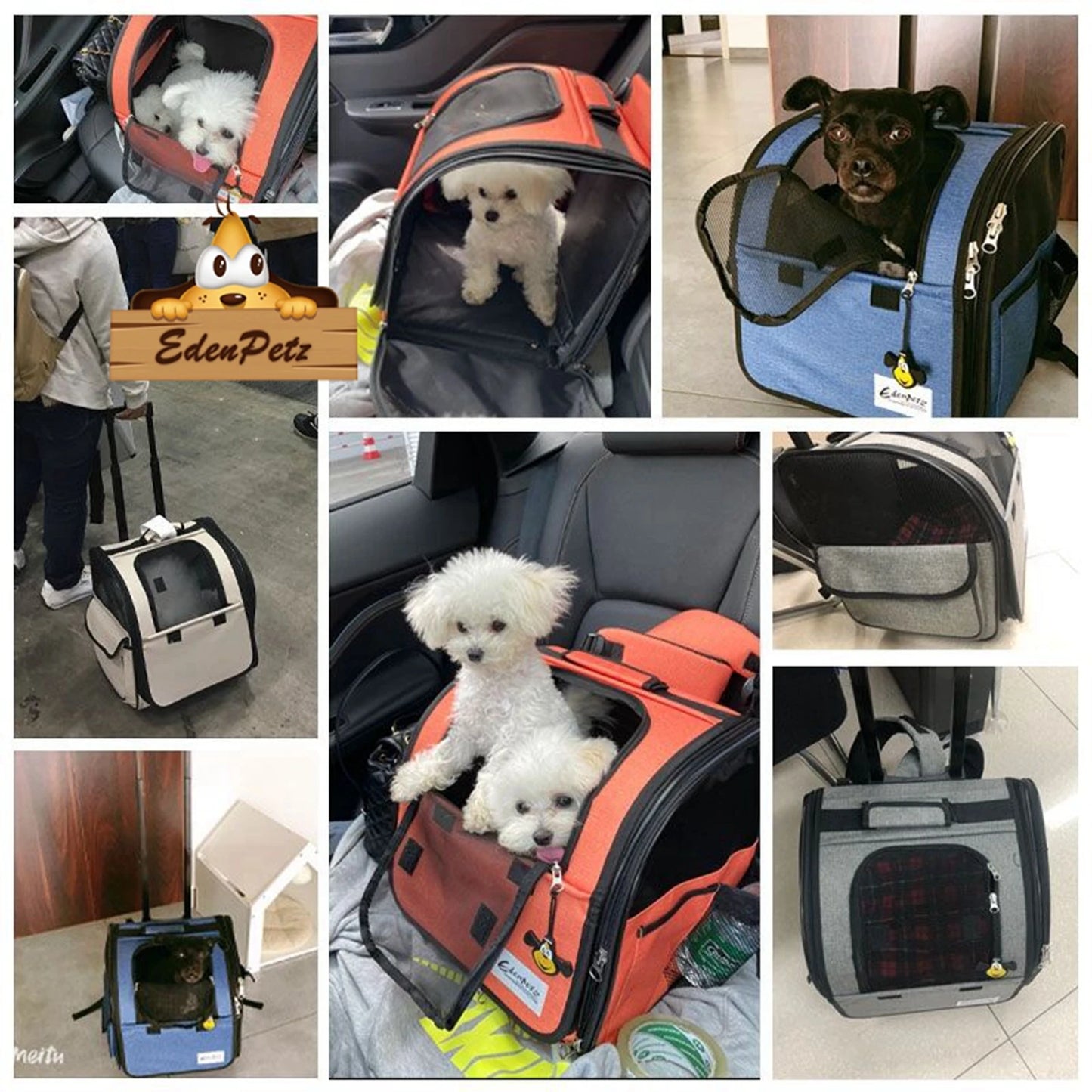 Poussette pour chien- Voyage Pratico-parfait