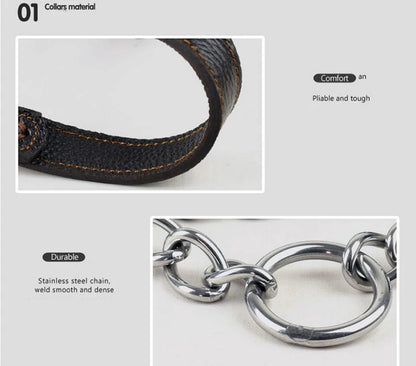 Collier pour chien cuir | Martingale Élégance