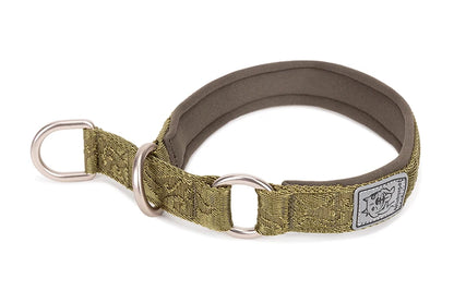 Collier de dressage pour chien- TRUELOVE P-chain