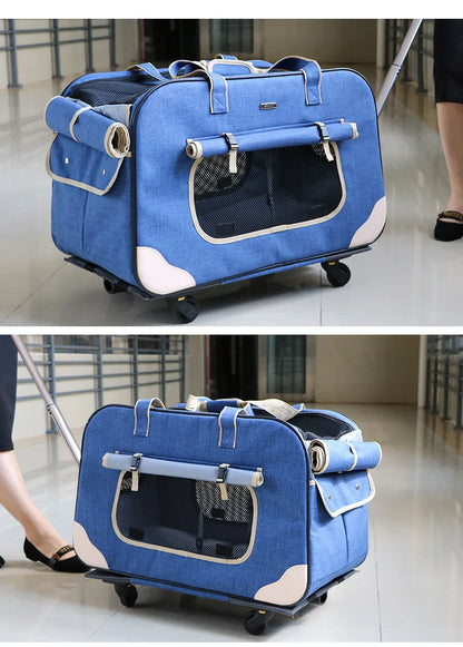 Poussette pour chien- Transporteurs Convertible 4 roues