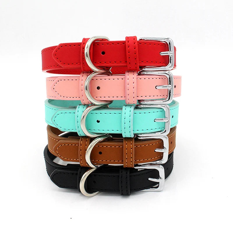 Collier chien cuir - Couleur sublime