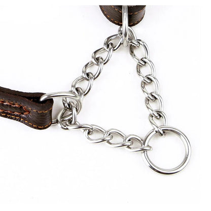 Collier pour chien cuir | Martingale Élégance