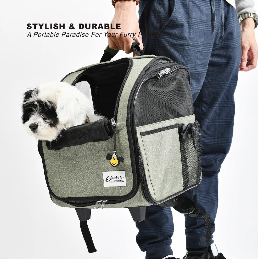 Poussette pour chien- Voyage Pratico-parfait