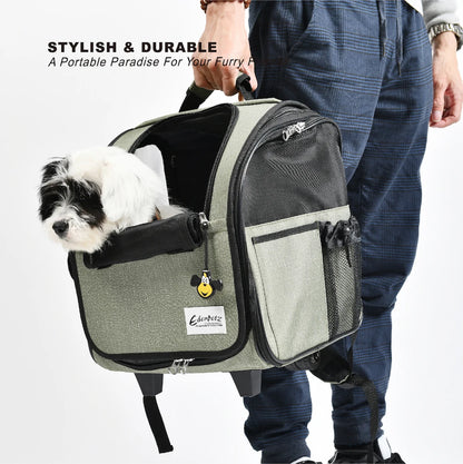 Caisse de transport chien- Travel House Suitcase