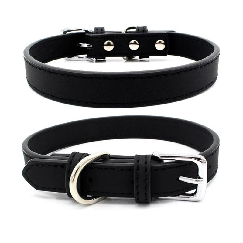 Collier chien cuir - Couleur sublime