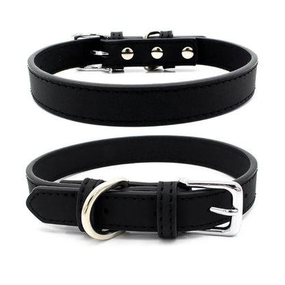 Collier chien cuir - Couleur sublime