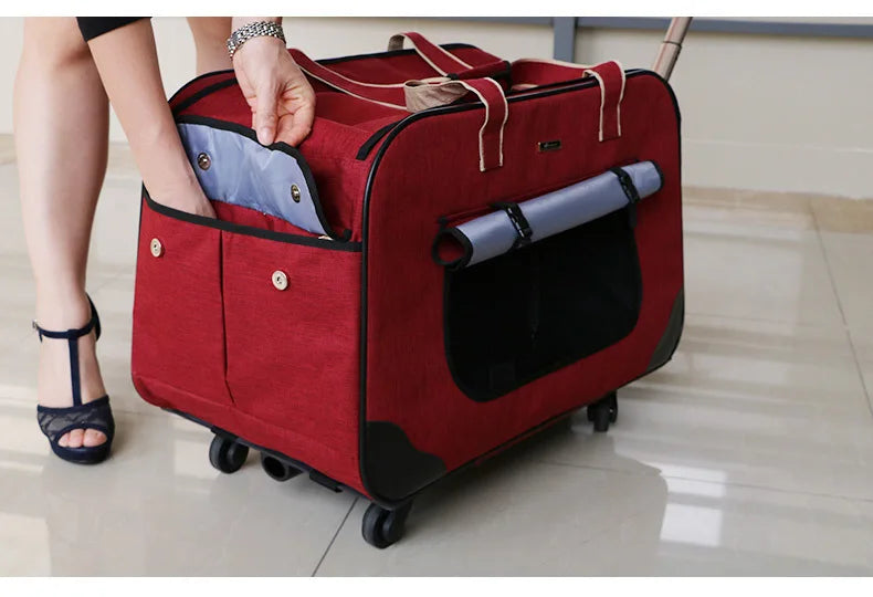 Poussette pour chien- Transporteurs Convertible 4 roues