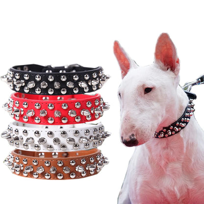Collier de dressage pour chien- Collier anti morsure Plus
