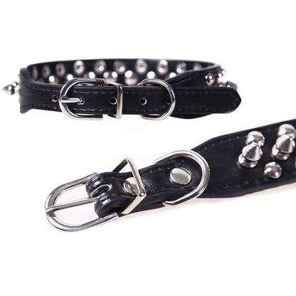 Collier de dressage pour chien- Collier anti morsure Plus