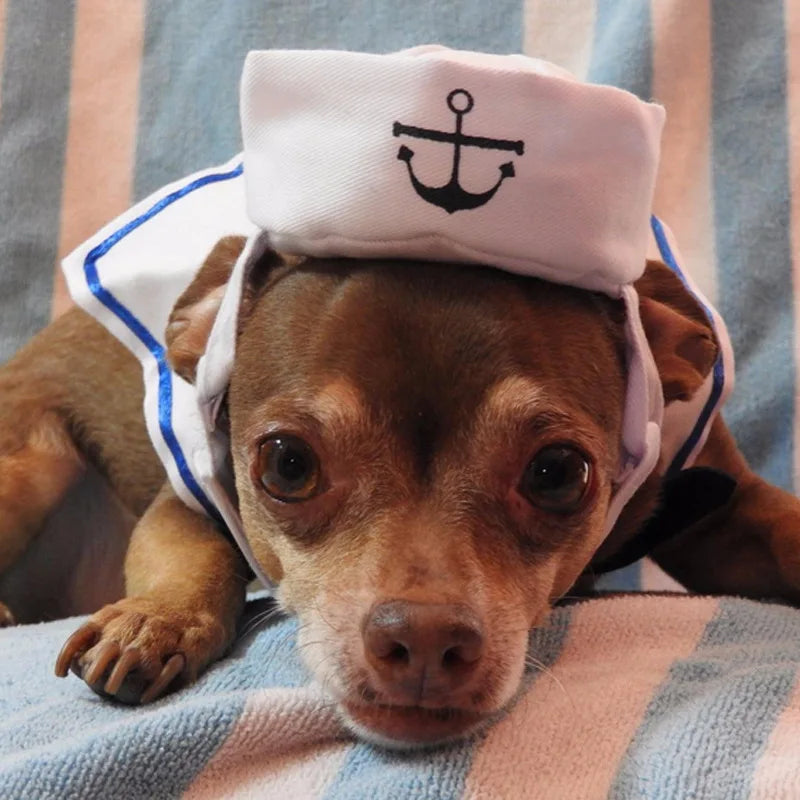 Déguisement pour chien- Matelot