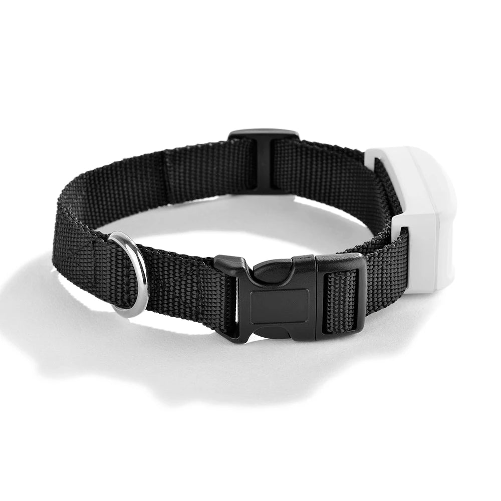 Collier gps pour chien- TKSTAR Mini GPS 2G