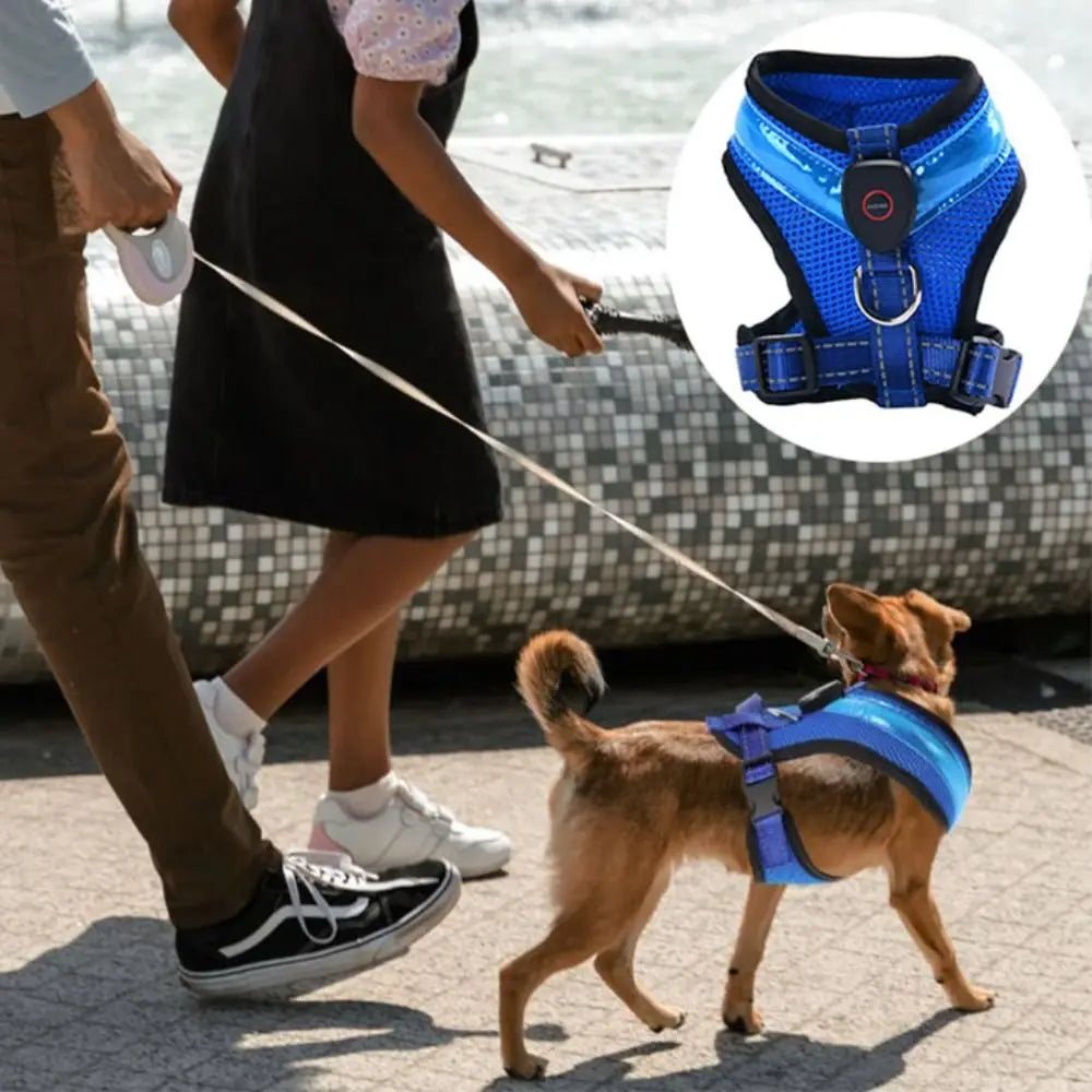 Harnais chien | LED Rechargeable Nuit Sécurité 2