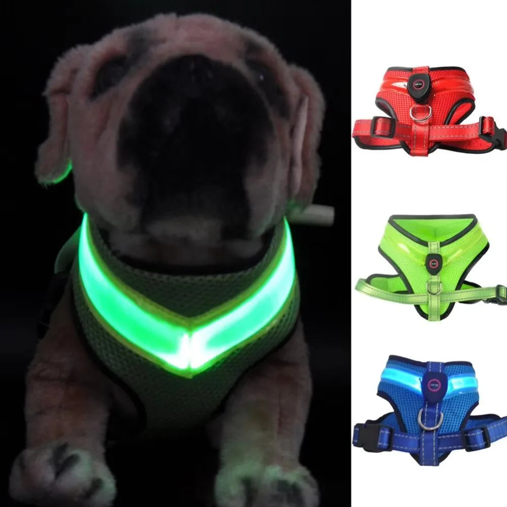 Harnais chien | LED Rechargeable Nuit Sécurité 3