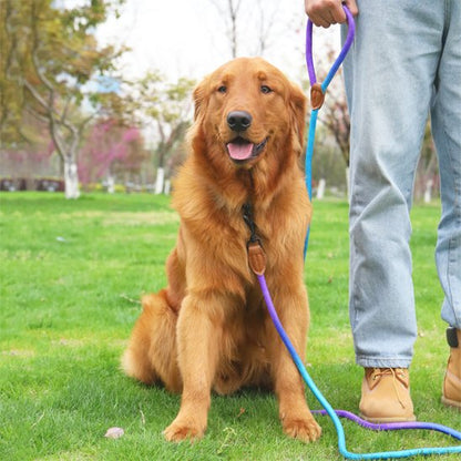 Harnais pour chien | DUO RobuConfort