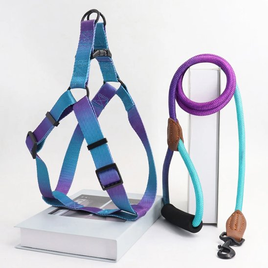 Harnais pour chien | DUO RobuConfort blue mauve