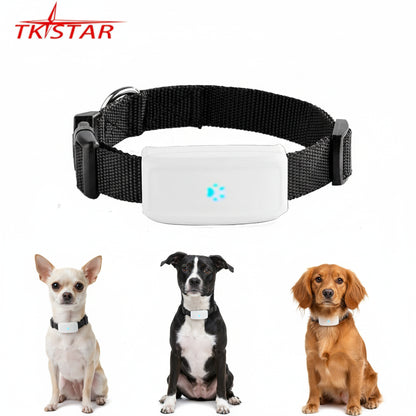 Collier gps pour chien- TKSTAR Mini GPS 2G