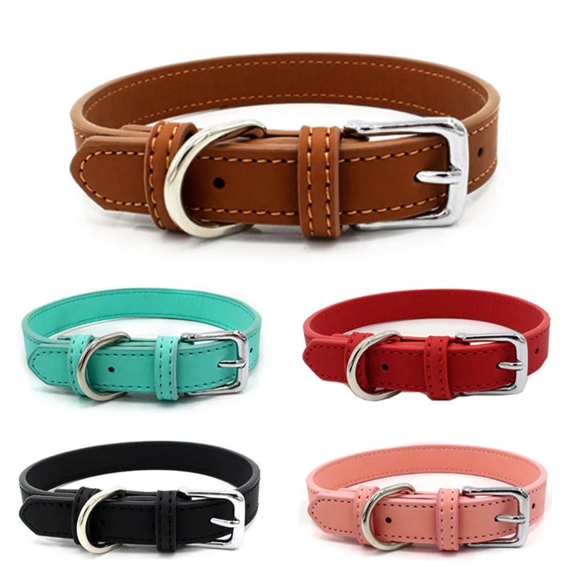 Collier chien cuir - Couleur sublime