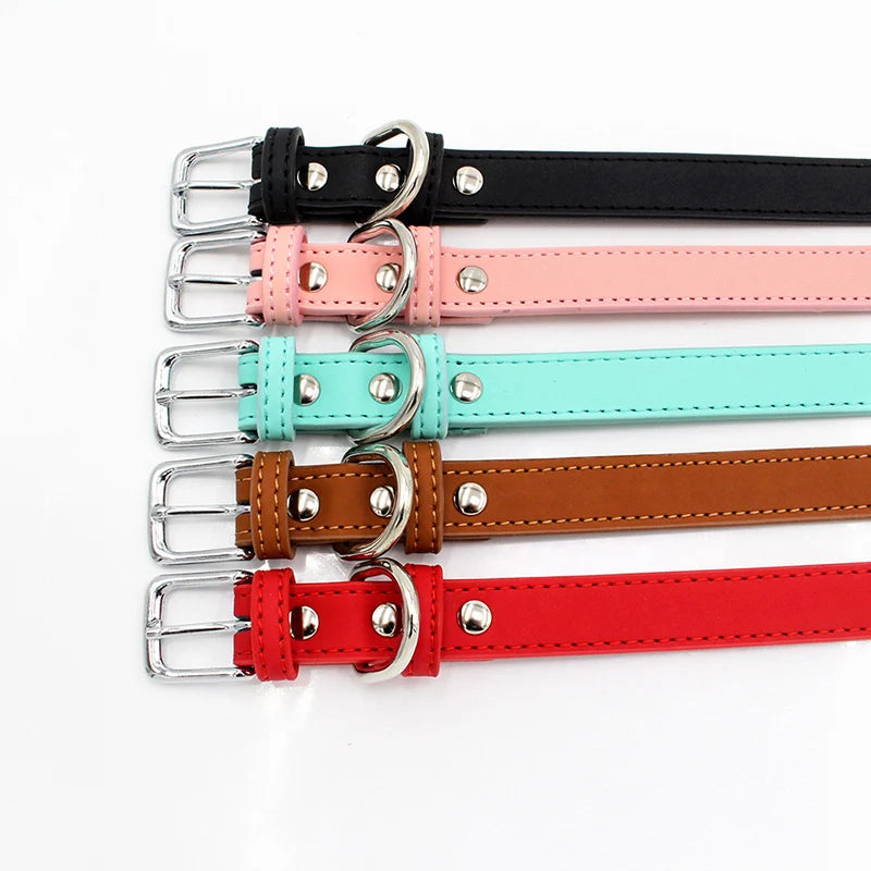 Collier chien cuir - Couleur sublime