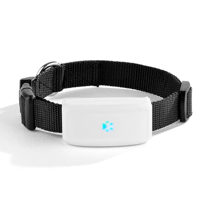 Collier gps pour chien- TKSTAR Mini GPS 2G
