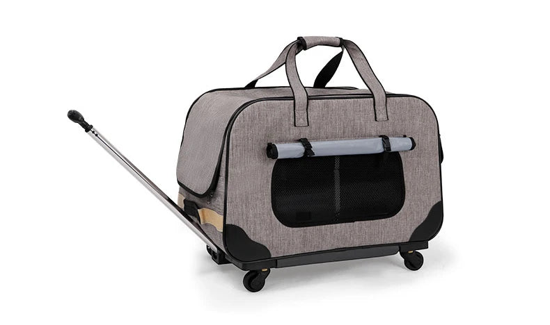 Poussette pour chien- Transporteurs Convertible 4 roues