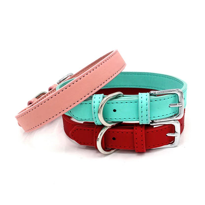 Collier chien cuir - Couleur sublime