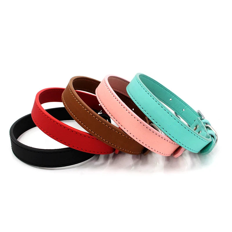 Collier chien cuir - Couleur sublime