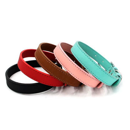 Collier chien cuir - Couleur sublime