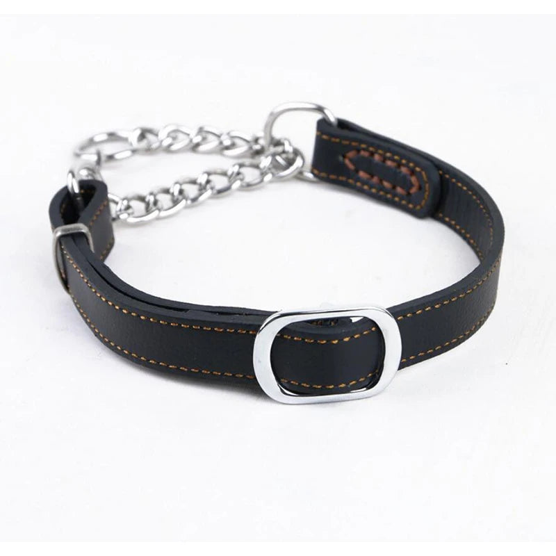 Collier pour chien cuir | Martingale Élégance