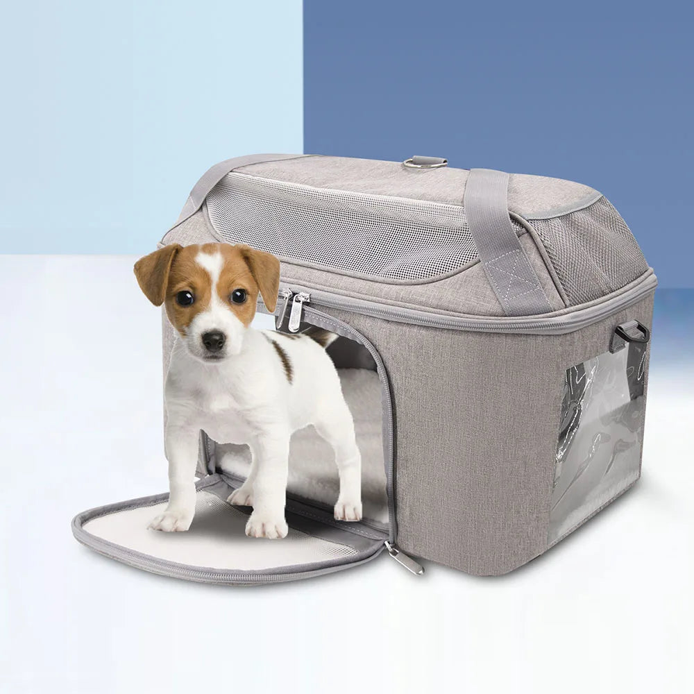 Caisse de transport chien- Outgoing bag.