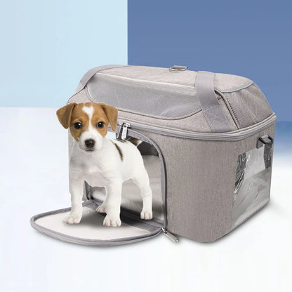 Caisse de transport chien- Outgoing bag.