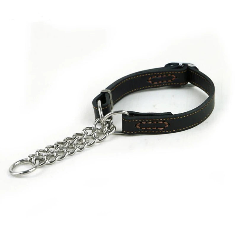 Collier pour chien cuir | Martingale Élégance