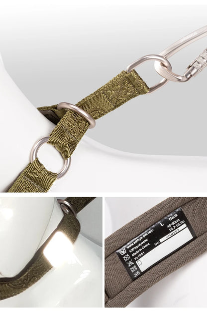 Collier de dressage pour chien- TRUELOVE P-chain