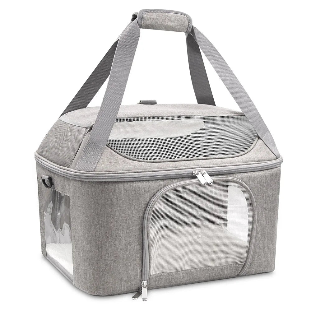 Caisse de transport chien- Outgoing bag.