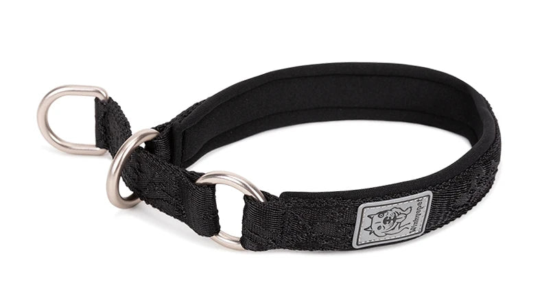Collier de dressage pour chien- TRUELOVE P-chain