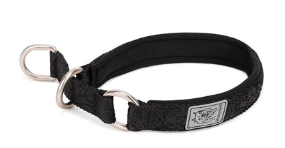 Collier de dressage pour chien- TRUELOVE P-chain