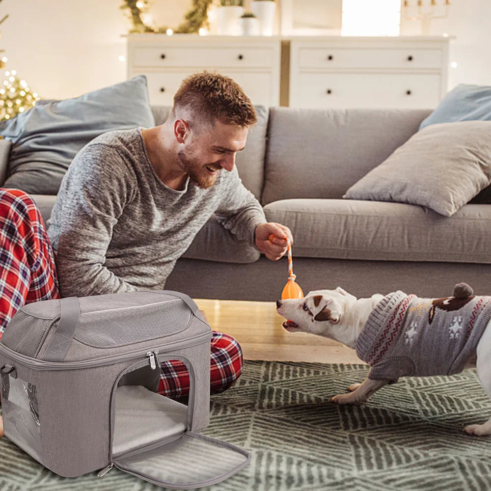 Caisse de transport chien- Outgoing bag.