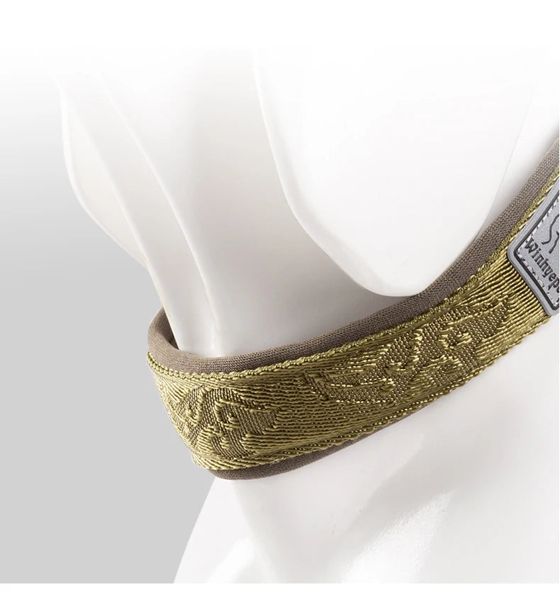 Collier de dressage pour chien- TRUELOVE P-chain