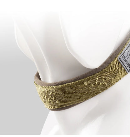 Collier de dressage pour chien- TRUELOVE P-chain